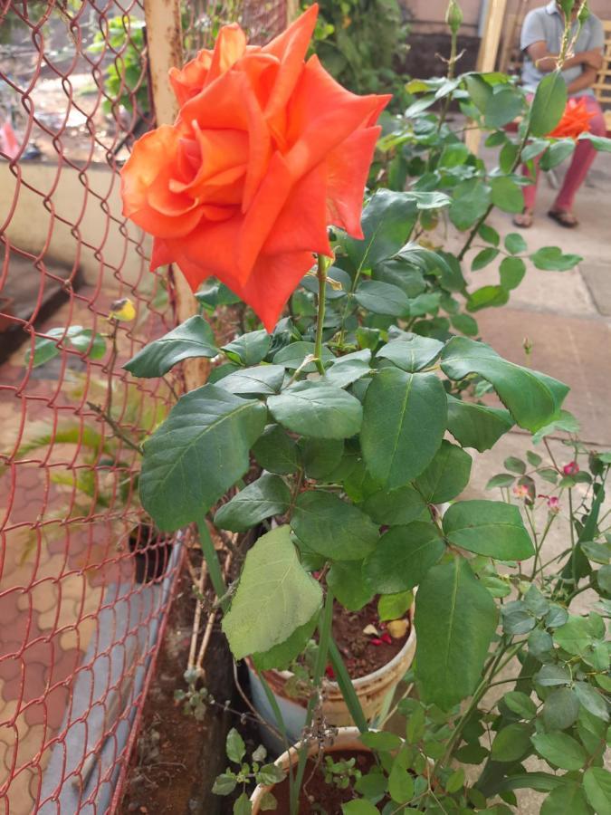 Trimurti Holiday Home Panchgani Luaran gambar