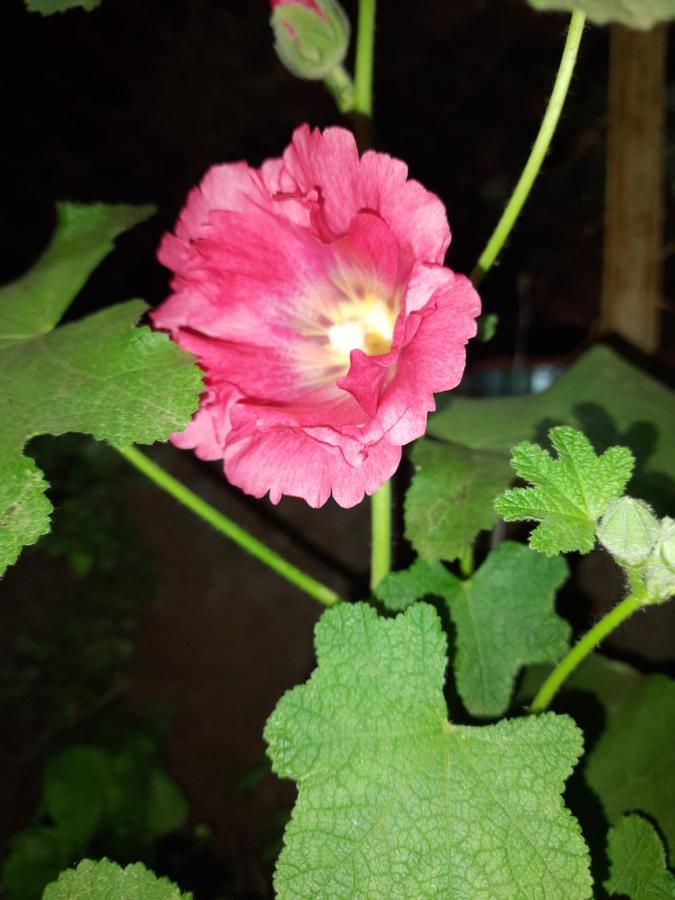 Trimurti Holiday Home Panchgani Luaran gambar