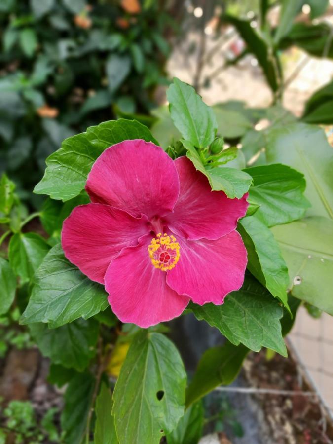 Trimurti Holiday Home Panchgani Luaran gambar