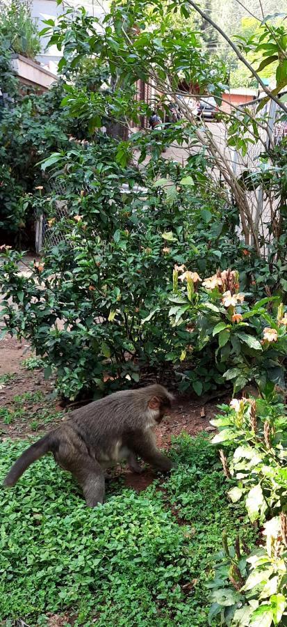 Trimurti Holiday Home Panchgani Luaran gambar