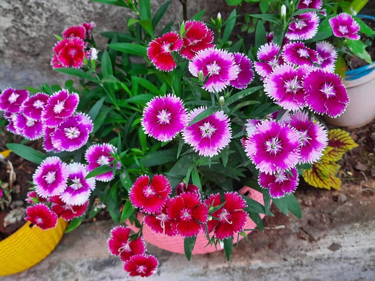 Trimurti Holiday Home Panchgani Luaran gambar
