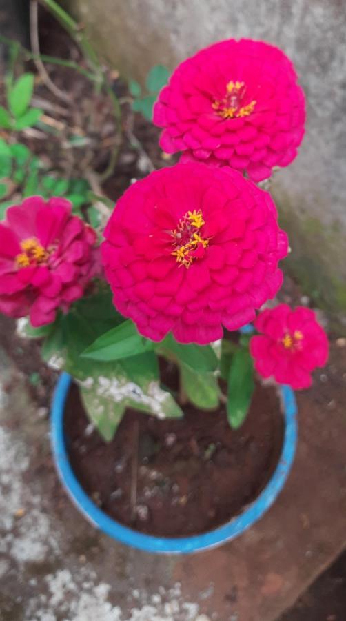 Trimurti Holiday Home Panchgani Luaran gambar