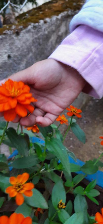 Trimurti Holiday Home Panchgani Luaran gambar