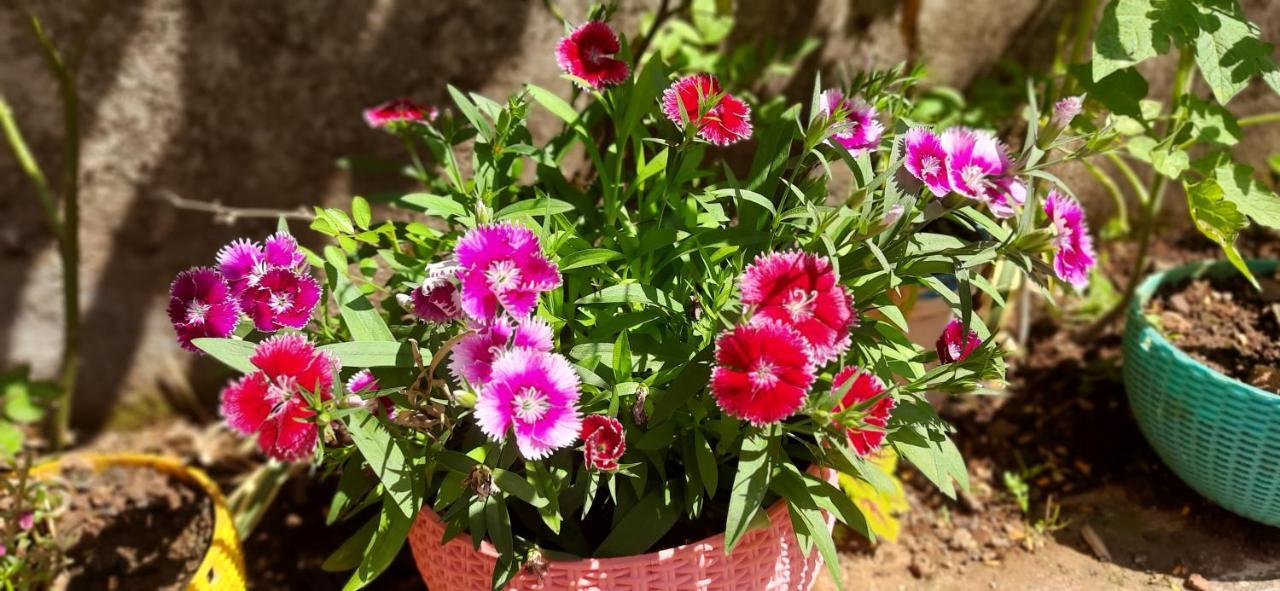 Trimurti Holiday Home Panchgani Luaran gambar