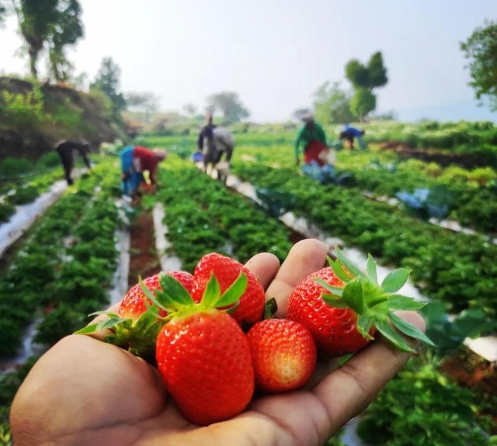 Trimurti Holiday Home Panchgani Luaran gambar