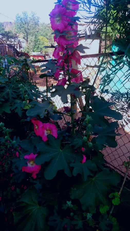 Trimurti Holiday Home Panchgani Luaran gambar