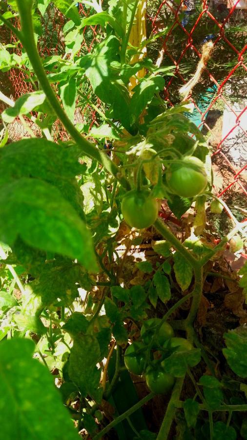 Trimurti Holiday Home Panchgani Luaran gambar